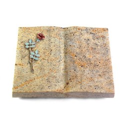 Grabbuch Livre/New Kashmir Rose 4 (Color)