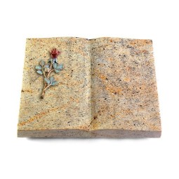 Grabbuch Livre/New Kashmir Rose 7 (Color)