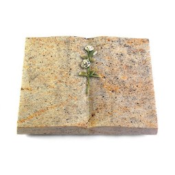 Grabbuch Livre/New Kashmir Rose 8 (Color)