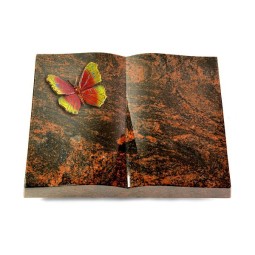 Grabbuch Livre/Aruba Papillon 2 (Color)