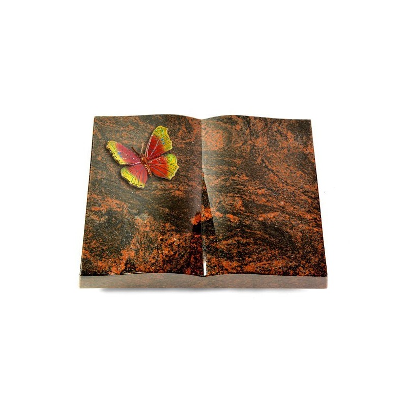 Grabbuch Livre/Aruba Papillon 2 (Color)