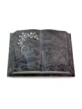 Grabbuch Livre Pagina/Orion Gingozweig 2 (Alu)