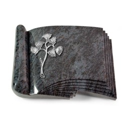 Grabbuch Prestige/Orion Gingozweig 1 (Alu) 50x40