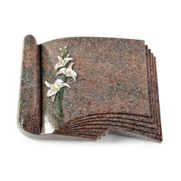 Grabbuch Prestige/Paradiso Orchidee (Color) 50x40