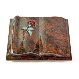 Grabbuch Antique/Aruba Rose 2 (Color) 50x40