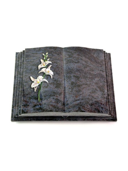 Grabbuch Livre Pagina/Orion Orchidee (Color)