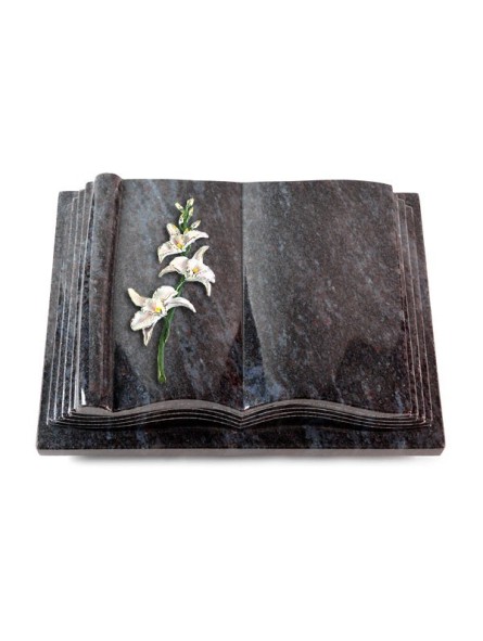 Grabbuch Antique/Orion Orchidee (Color) 50x40