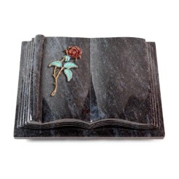 Grabbuch Antique/Orion Rose 2 (Color) 50x40