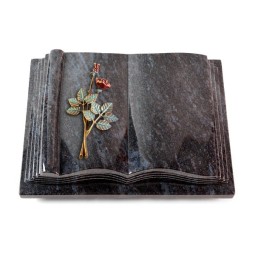 Grabbuch Antique/Orion Rose 5 (Color) 50x40