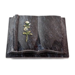 Grabbuch Antique/Orion Rose 8 (Color) 50x40