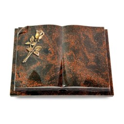 Grabbuch Livre Auris/Aruba Rose 8 (Bronze) 50x40