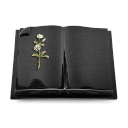 Grabbuch Livre Auris/Indisch Black Rose 8 (Color) 50x40