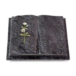 Grabbuch Livre Auris/Orion Rose 8 (Color) 50x40