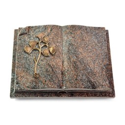 Grabbuch Livre Auris/Paradiso Gingozweig 1 (Bronze) 50x40