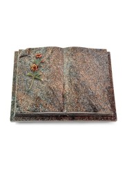 Grabbuch Livre Auris/Paradiso Rose 6 (Color) 50x40