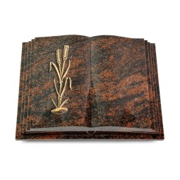 Grabbuch Livre Pagina/Aruba Ähren 2 (Bronze) 50x40