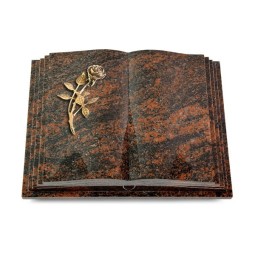 Grabbuch Livre Pagina/Aruba Rose 6 (Bronze) 50x40