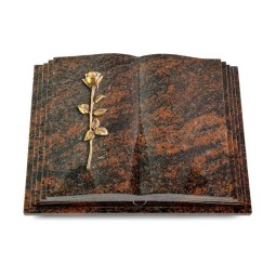 Grabbuch Livre Pagina/Aruba Rose 12 (Bronze) 50x40