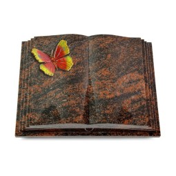 Grabbuch Livre Pagina/Aruba Papillon 2 (Color) 50x40