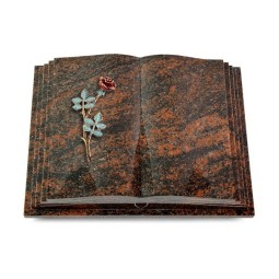 Grabbuch Livre Pagina/Aruba Rose 4 (Color) 50x40