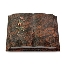 Grabbuch Livre Pagina/Aruba Rose 6 (Color) 50x40