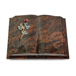 Grabbuch Livre Pagina/Aruba Rose 7 (Color) 50x40