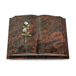 Grabbuch Livre Pagina/Aruba Rose 8 (Color) 50x40