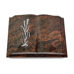 Grabbuch Livre Pagina/Aruba Ähren 2 (Alu) 50x40