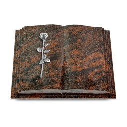 Grabbuch Livre Pagina/Aruba Rose 12 (Alu) 50x40