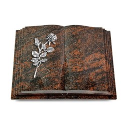 Grabbuch Livre Pagina/Aruba Rose 13 (Alu) 50x40