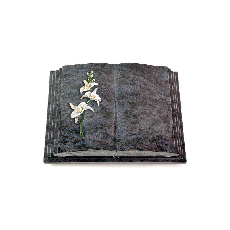 Grabbuch Livre Pagina/Orion Orchidee (Color) 50x40