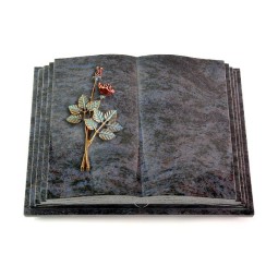 Grabbuch Livre Pagina/Orion Rose 5 (Color) 50x40