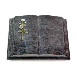 Grabbuch Livre Pagina/Orion Rose 8 (Color) 50x40