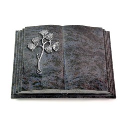 Grabbuch Livre Pagina/Orion Gingozweig 1 (Alu) 50x40