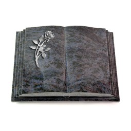 Grabbuch Livre Pagina/Orion Rose 6 (Alu) 50x40