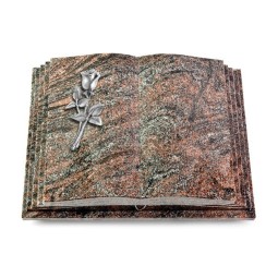 Grabbuch Livre Pagina/Paradiso Rose 8 (Alu) 50x40