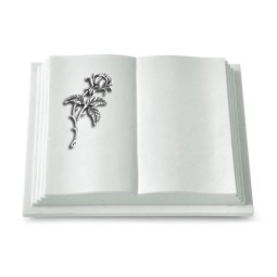 Grabbuch Livre Pagina/Omega Marmor Rose 2 (Alu)