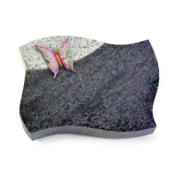 Grabstein Firenze/Orion-Viskont Papillon 1 (Color)