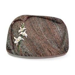 Grabbuch Papyros/Paradiso Orchidee (Color)