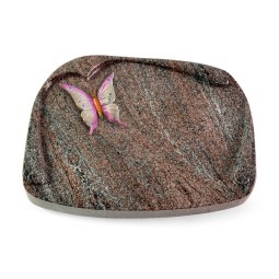 Grabbuch Papyros/Paradiso Papillon 1 (Color)