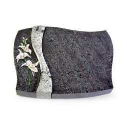 Grabstein Samba/Orion-Viskont Orchidee (Color)