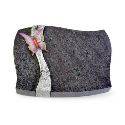 Grabstein Samba/Orion-Viskont Papillon 1 (Color)