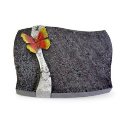 Grabstein Samba/Orion-Viskont Papillon 2 (Color)