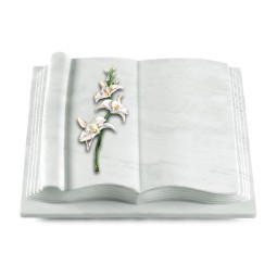 Grabbuch Antique/Omega Marmor Orchidee (Color)