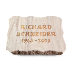 Rasengrabplatte Rainbow