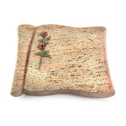 Grabbuch Voltaire/Raw Silk Rose 6 (Color)