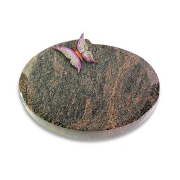 Grabstein Baroque/Himalaya Papillon 1 (Color)