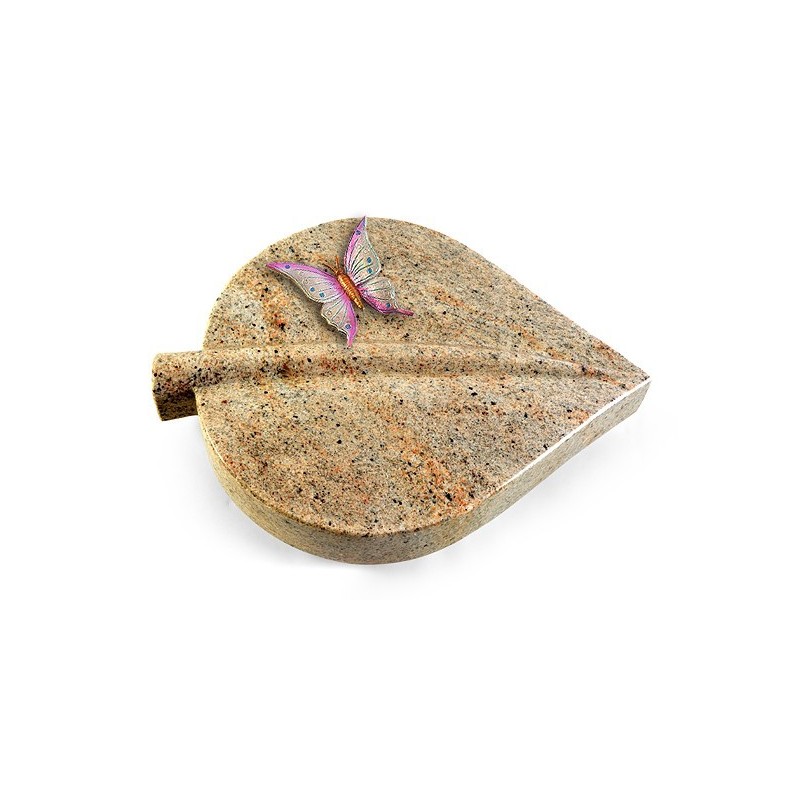 Grabstein Folia/New-Kashmir Papillon 1 (Color)