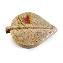 Grabstein Folia/New-Kashmir Papillon 2 (Color)