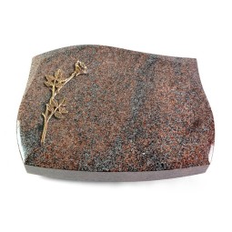 Grabstein Galaxie/Paradiso Rose 9 (Bronze)